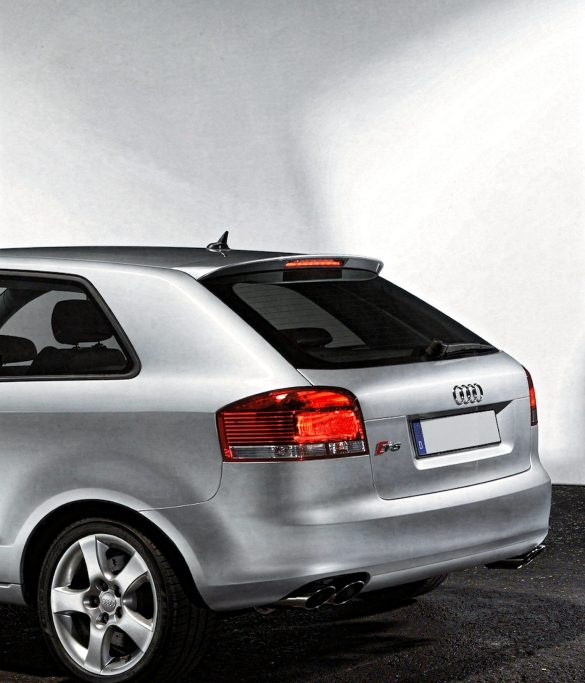Audı A3 8P 2 Kapı Coupe Fiber Spoiler (Kopya)