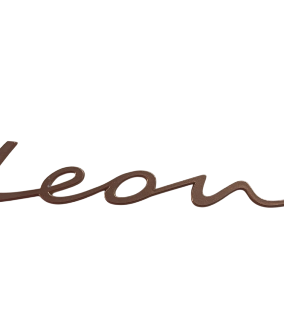 YENİ NESİL LEON BAGAJ YAZISI BAKIR